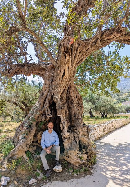 File:K-in-tree-Crete.jpg